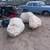 Decorative Rocks and Boulders for sale!!! 1 thumbnail