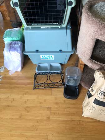 4 cat and small dog carriers. Also Tidy Cat Litter box system complete 1
