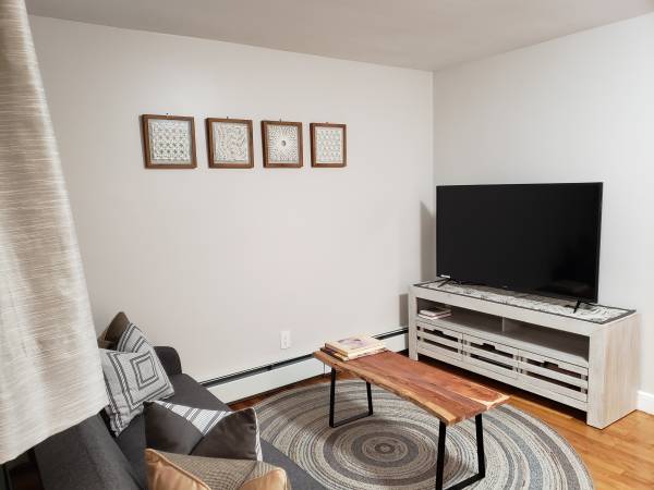 $3,200 / 1br - 500ft2 - Furnished 1 bed in Washington Square - convenient to the LMA - NOW (Brookline)64213533778817123