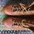 Red Wing Lineman Boots – Men’s Size 7 8 thumbnail
