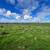 30 Acres in north Bakersfield for sale or lease - Seller Finance 12 thumbnail