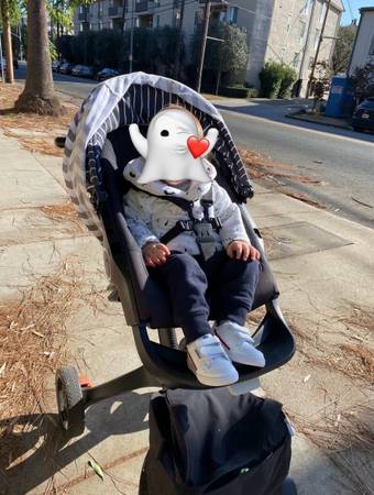 Stokke stroller 1