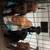 Mastiff lab mix puppies 4 thumbnail