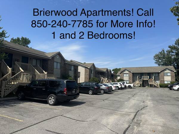Section 8 housing for rent