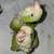Baby green quaker parrot 2 thumbnail