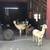 Suri Alpacas  for sale 1 thumbnail
