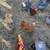 Chickens & Roosters 1 thumbnail