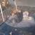 Puppys 2 thumbnail