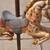Carousel Horse 7 thumbnail