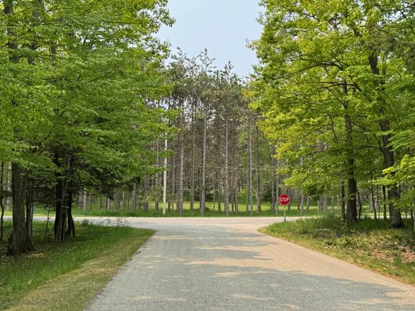 $92,400 / 58370ft2 - Beautiful Wooded Property in Private area just outside Harbor Springs (Harbor Springs)64308161172227120