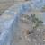 MENDEZ LANDSCAPING SERVICES, LLC.  YARD WORK & MASONRY 18 thumbnail