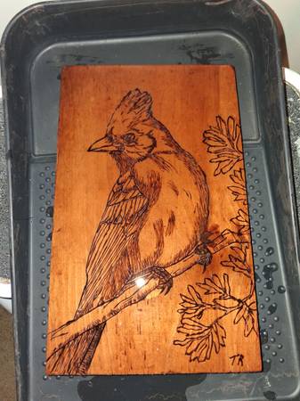 Hand made pyrography cardinal 1