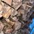 Premium firewood 2 thumbnail