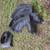 1980-1985 cadillac coupe deville / fleetwood brougham 2dr part out 6 thumbnail