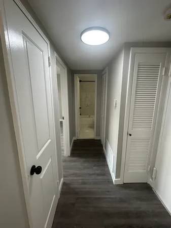 $1,000 / 1br - Apartamento grande de 1 habitación y 1 baño recién renovado, en la zona de Wissinoming (Filadelfia)63666799790083123