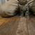 Rehoming female kittens 3 thumbnail