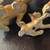 Bulldog mom w/puppy dogs chained figurines - 4 thumbnail