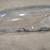 BMW E46 3 Series OE Headlight Lenses, Left & Right 5 thumbnail