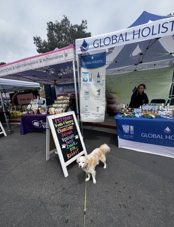 🌿 Farmers Market Representative – Global Holistic Solutions 🌿 1