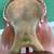 Western THSL Saddle 17" 18 thumbnail