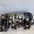 2006-2008 Honda Ridgeline 3.5L Engine Crankshaft 6 Cylinder 2 thumbnail