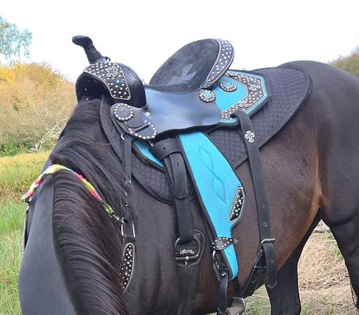 Saddle 1