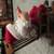 Animated Santa figurine relaxing in rocking chair 3 thumbnail