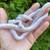 Quality morph corn snakes 2 thumbnail