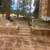 🌴Orca nw🌴  Concrete Driveways / Patios /walkways/slabs/foundations 19 thumbnail