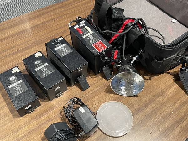 Lumedyne Flash System 1