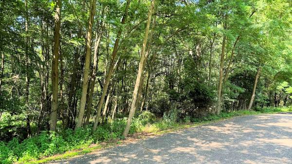 Lote vacante de $40,000 en Hickory Hills, Wisconsin Dells (Baraboo)63292810994563121