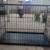Pet Crate 1 thumbnail