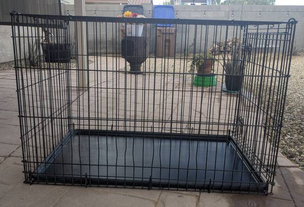 Pet Crate 1