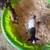 Valais wethers and Pygmy wethers 2 thumbnail