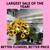 FLORIST/FLORAL WHOLESALE TO PUBLIC 50 ROSES 39.99 100 FOR 99.99NEWPORT 5 thumbnail