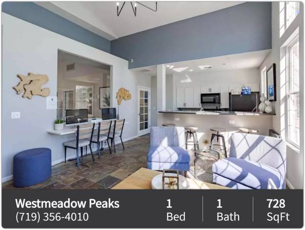 $1,184 / 1br - 728ft2 - Spacious and elegant! You've found your ideal 1 bed / 1 bath! (Colorado Springs)63658112189697121