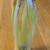 Pretty Murano 5 Finger Stretch Vase - 8-3/4" tall - A+ 2 thumbnail