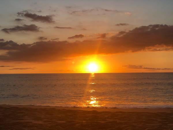 $2,350 / 1br - 528ft2 - Beachfront Oahu Paradise for rent (Makaha Hawaii)63834315601153120