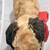 Vtg STEIFF Airedale Terrier Dog Mohair 11"L x 9" T Antique Plush Toy Red Collar 4 thumbnail