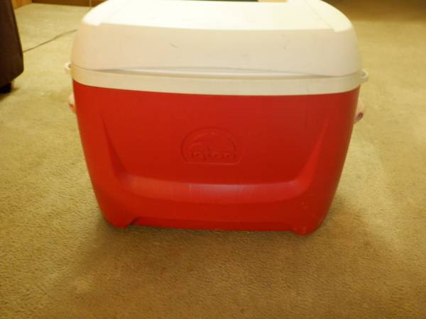 Igloo Cooler 1