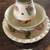 4 piece Decorative Candle Holder 2 thumbnail