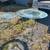 West Elm Glass & Wicker Side Table 3 thumbnail