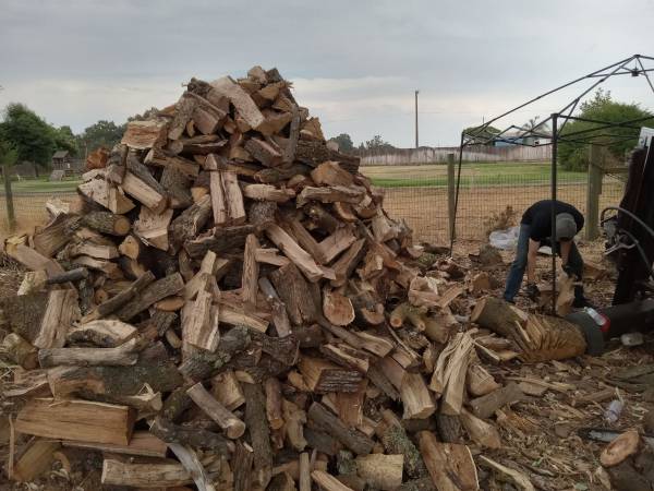 Very CLEAN White-Oak / Seasoned firewood 1