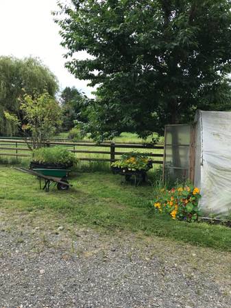 $750 / 1000 pies² - Estacionamiento para RV / Casas pequeñas en una granja de 5 acres (Ferndale)63509602602753123
