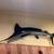 86" blue Marlin Mount 3 thumbnail