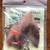 GREEN MOUNTAIN FISHING TACKLE TROLLS , new old stock 7 thumbnail