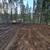 Forest Sweeping and Clean Up 5 thumbnail