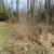 5.5 Acres on Lake Minnewawa 10 thumbnail