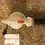Stihl BGE 71 Corded Electric Leaf Blower 3 thumbnail
