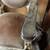 Emil J. Paidar Antique Barber Chair with booster seat 12 thumbnail